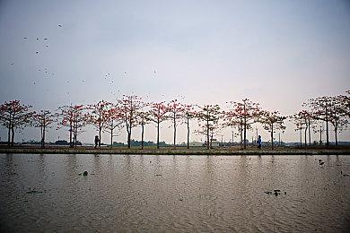 科隆：《星空》磅礴真人实景预告片公布